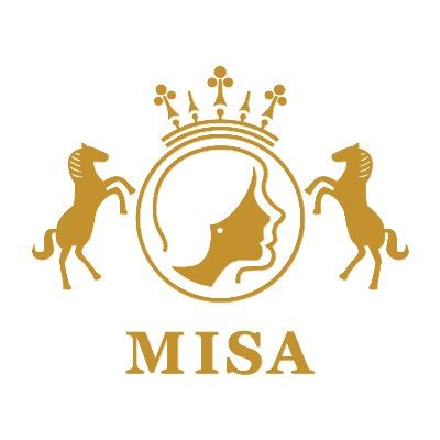 misa inc